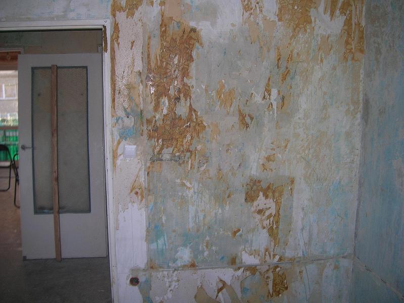 DSCN3011.JPG