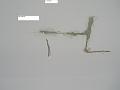 DSCN4836